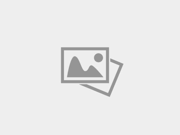 Новые инициативы по улучшению экологической обстановки в городе